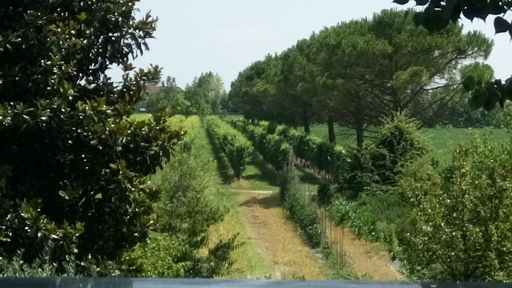 La Pioppa Agriturismo Сачиле Экстерьер фото
