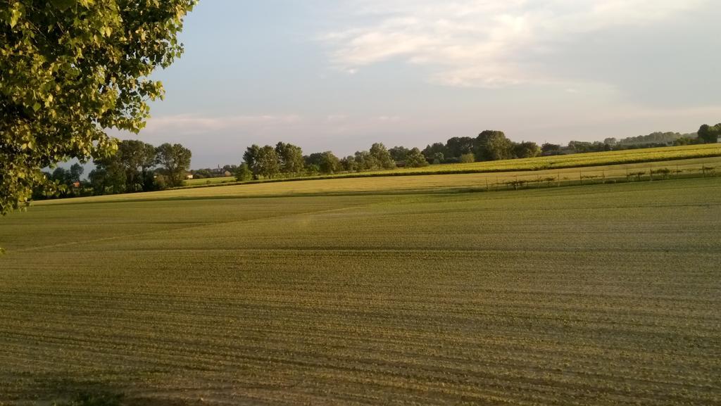 La Pioppa Agriturismo Сачиле Экстерьер фото